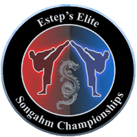 Esteps ATA Martial Arts tournament